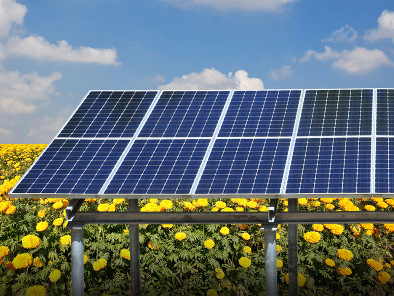 Europa: A agricultura fotovoltaica tornou-se uma importante tendência de desenvolvimento no futuro