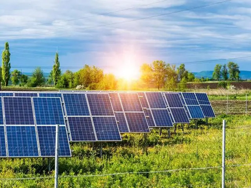 Associação Fotovoltaica da China visita os Emirados Árabes Unidos, outro investimento fotovoltaico popular?